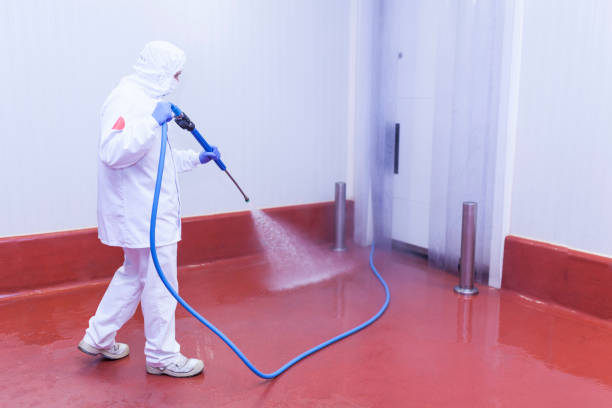 Best Driveway Cleaning and Restoration in Trenton, GA